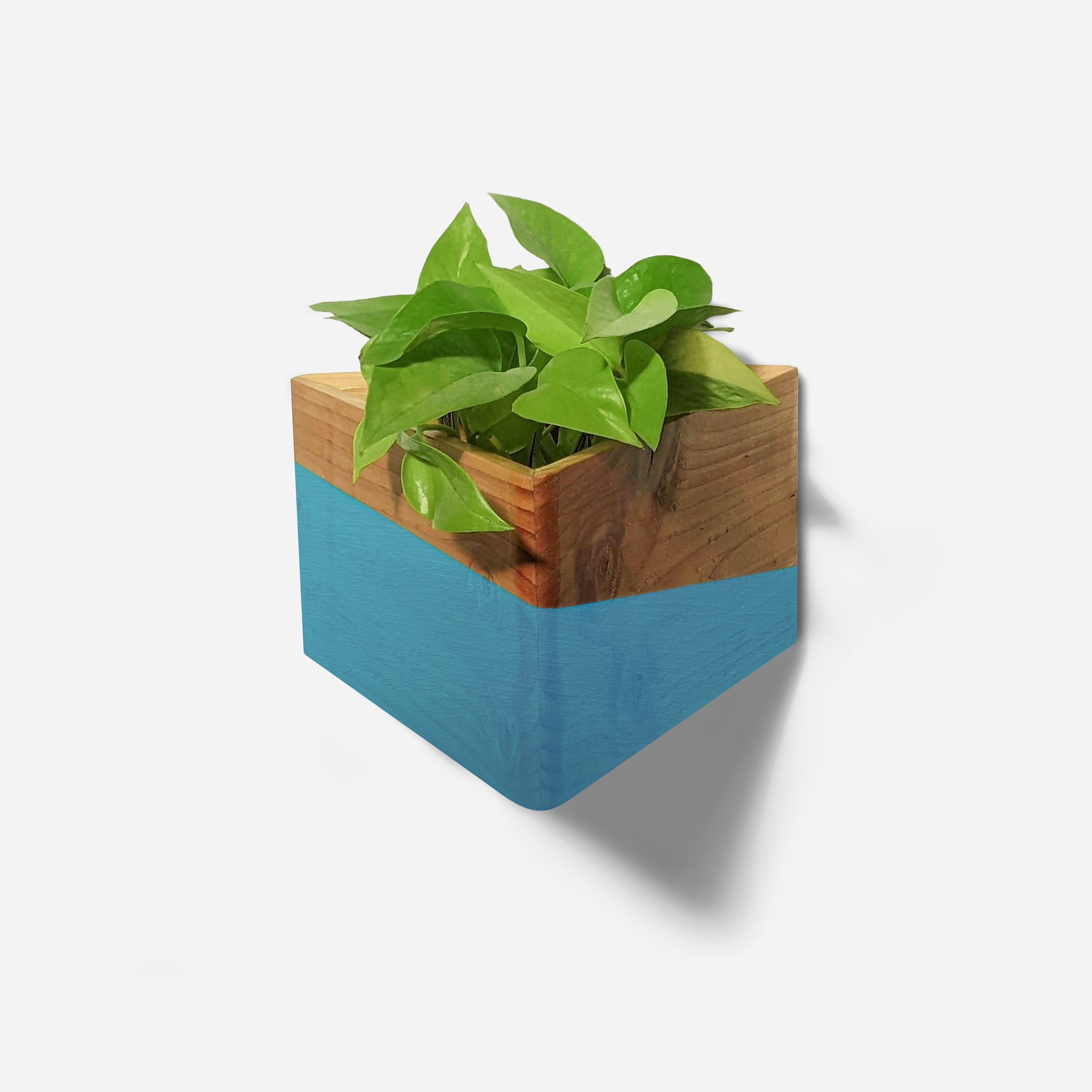 triangle pots for plants Triangle Wall Planter | Unique Triangle Planter