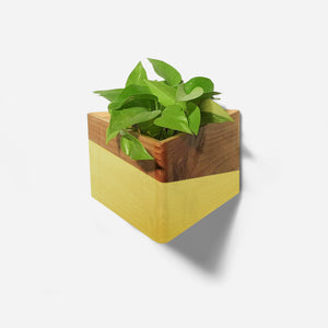 Triangle wall-mounted planter