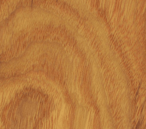 Oak Wood Earrings | Handmade Wood Earrings | Formr