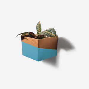 Diamond self-watering, wall-mounted planter