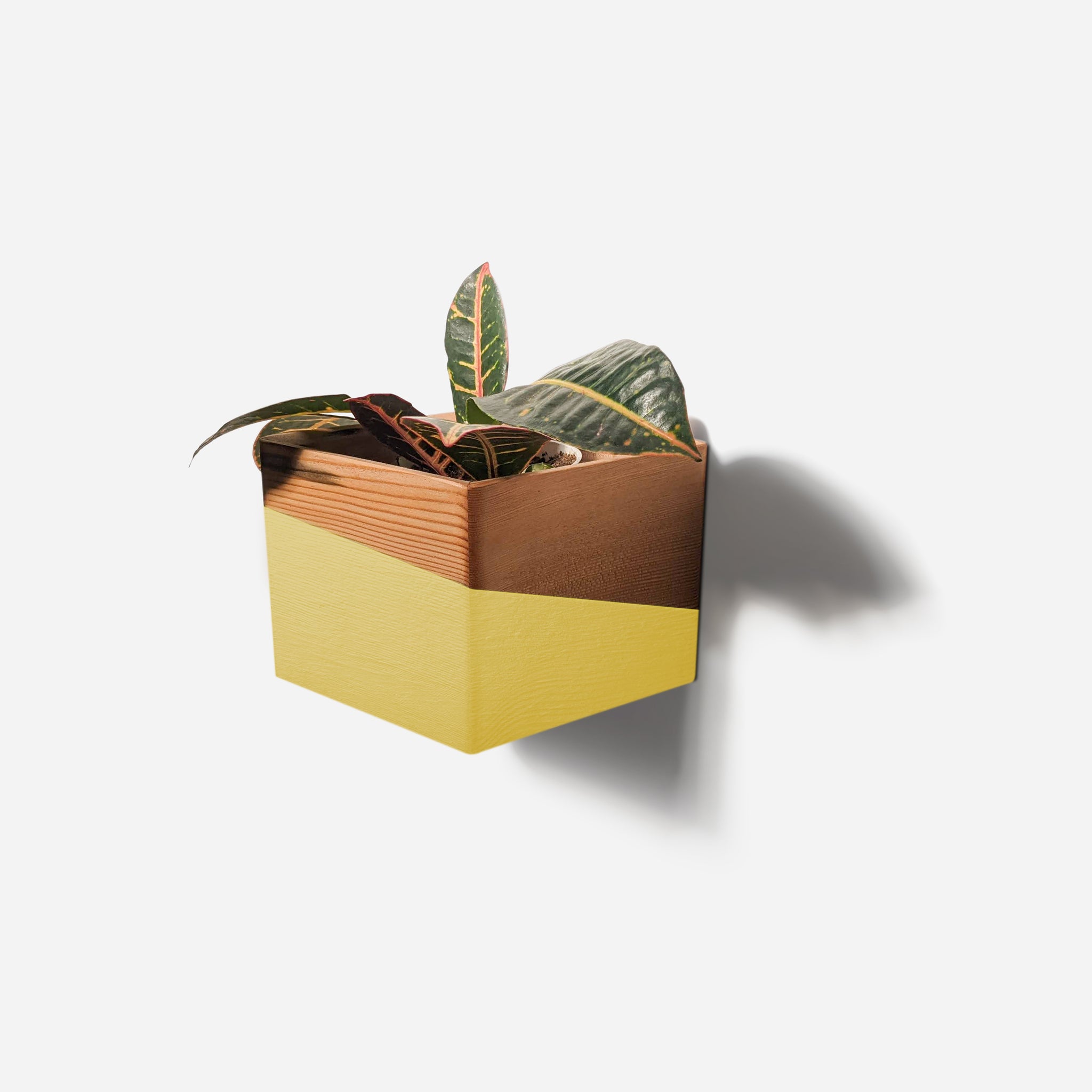 wood plant pot designs Wooden Wall Mounted Planter | Hanging Plant Holder