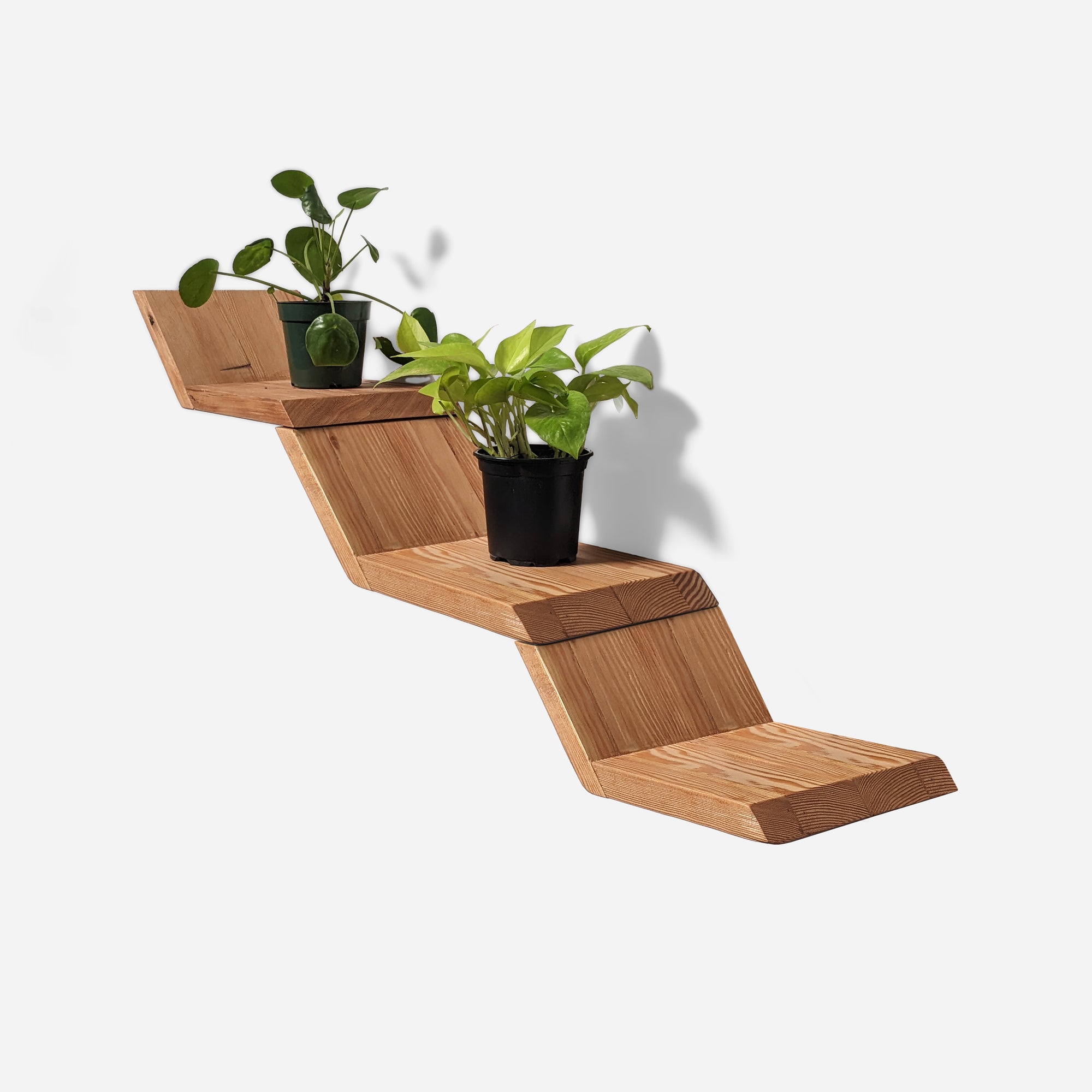 Thin shelf with plants on it