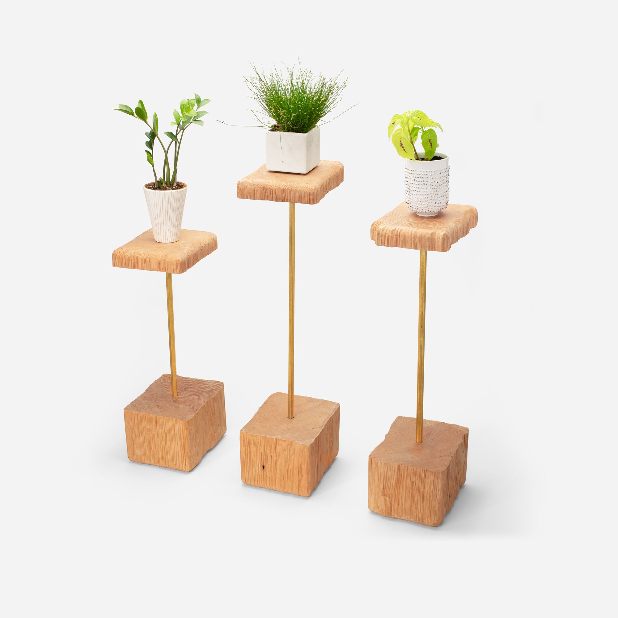 house plant organizer Indoor Plant Holder | Stem Plant Holder