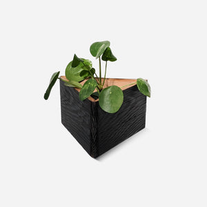 Triangle self-watering, wall-mounted planter