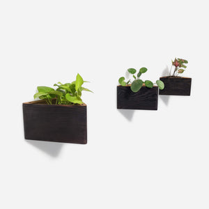 Triangle wall planted planter