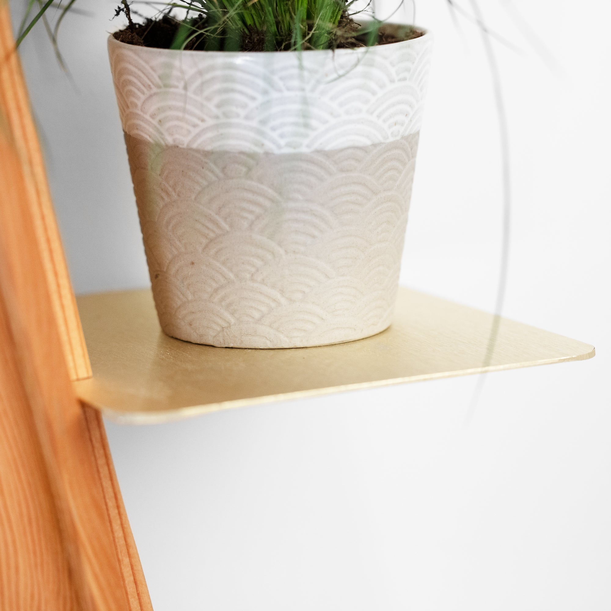 plant pot wall shelf Wall Plant Shelf | Flower Plant Shelf