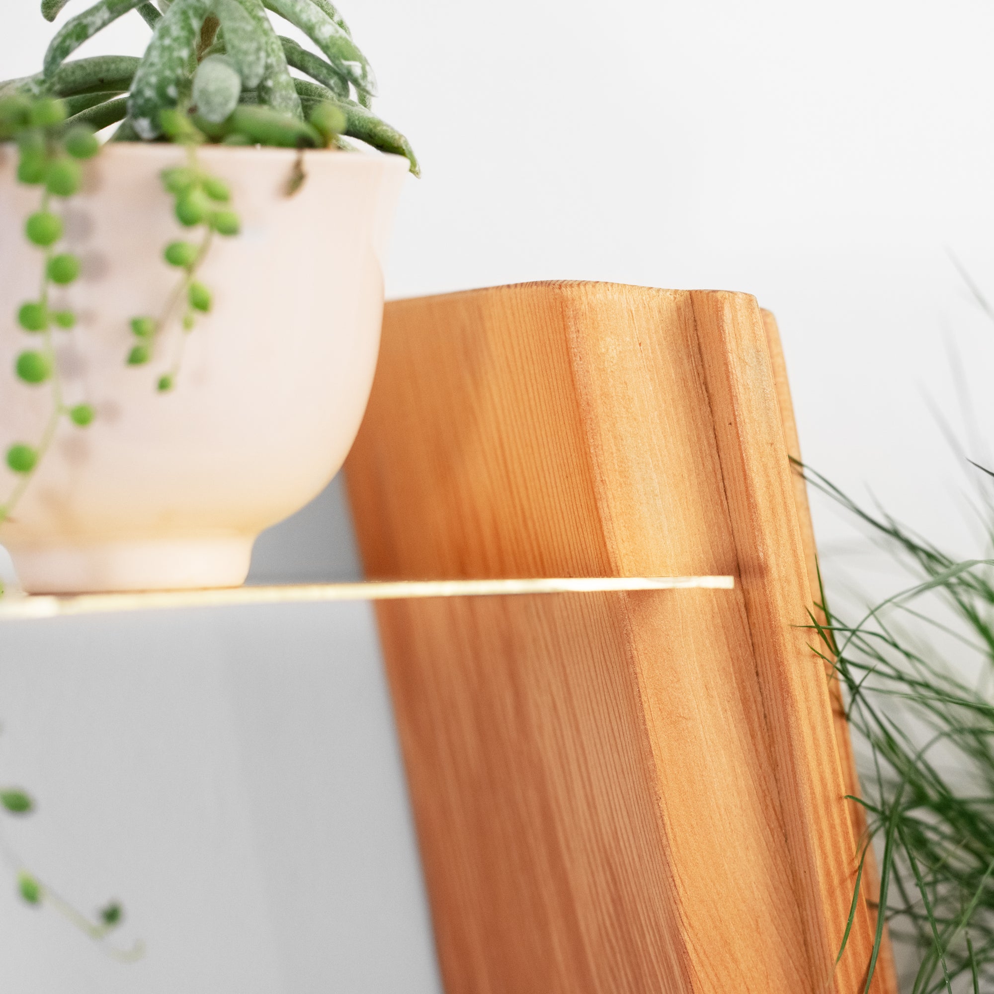 Wall Plant Shelf | Flower Plant Shelf | Formr