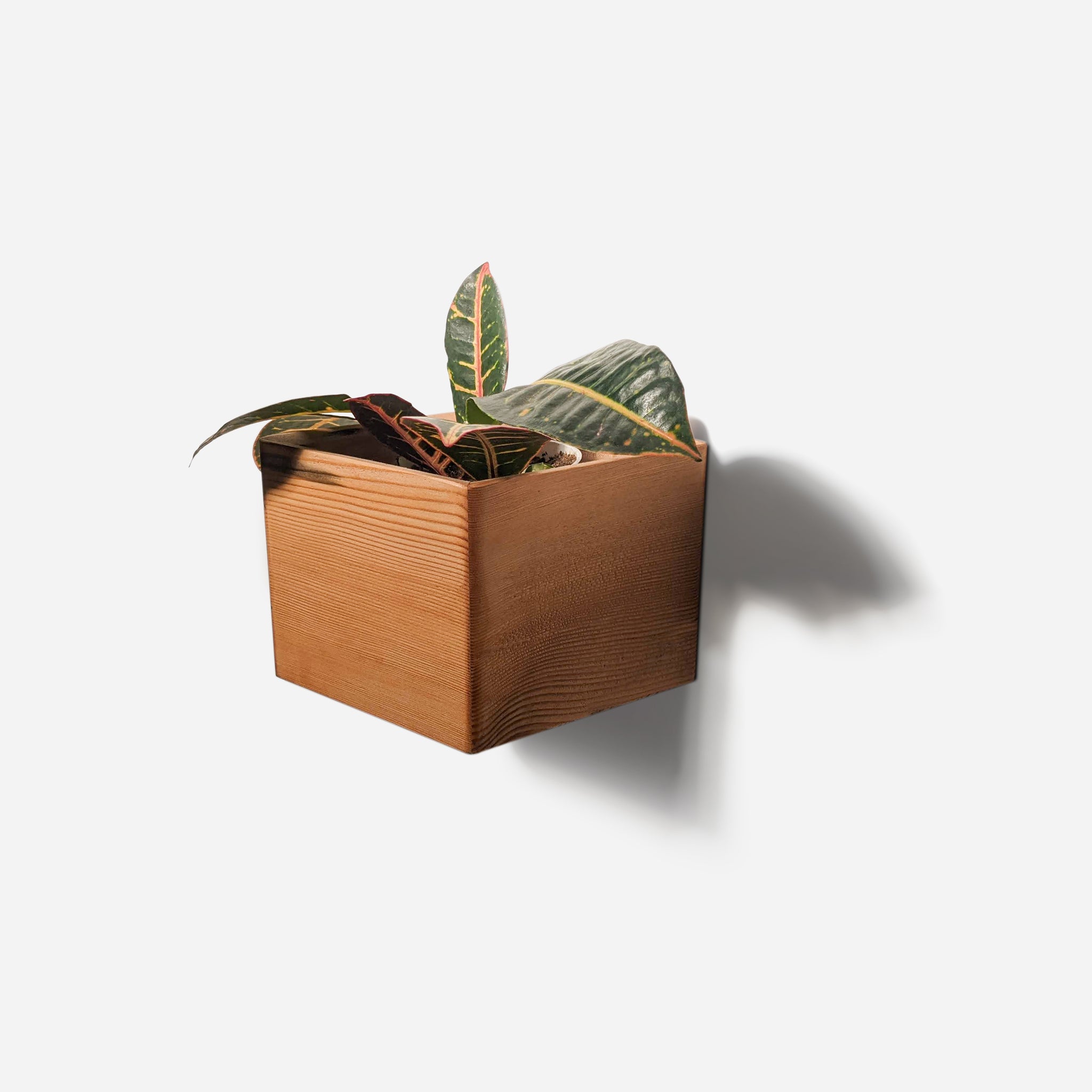 hanging wood planter box Wooden Wall Mounted Planter | Hanging Plant Holder